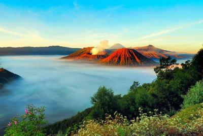 Bromo Tour Package: Midnight Bromo Open Trip from Batu Bromo Tour Package: Midnight Bromo Open Trip from Batu