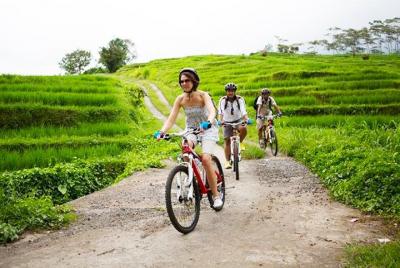 Bali UNESCO World Heritage Site: Jatiluwih Rice Paddy Cycling Tou