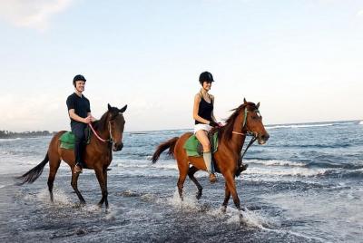 Experience Horse Riding with Ubud Swing Activity Experience Horse Riding with Ubud Swing Activity
