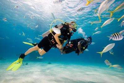 Bali Scuba Diving for Beginner Bali Scuba Diving for Beginner