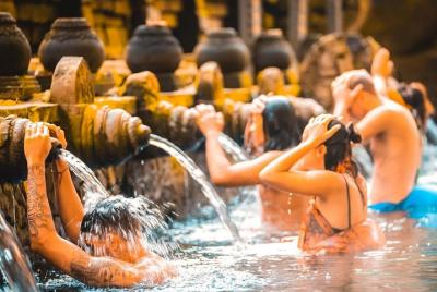 Bali Full-Day Traditional Village Sightseeing Trip + Free WiFi