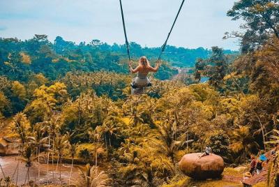 Ubud Tour: Monkey Forest, Rice Terrace & Jungle Swing - Free Wifi