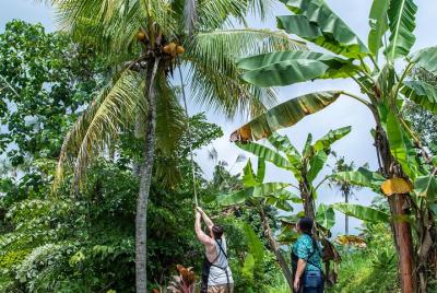 Adventure to the Kubu - explore - harvest - cook - eat - relax Adventure to the Kubu - explore - harvest - cook - eat - relax