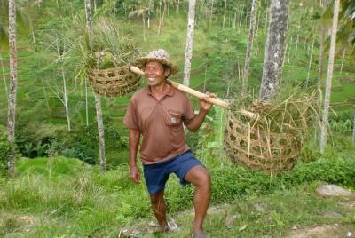 The Tegalalang Rice Fields And Campuhan Ridge Walks