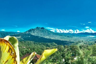 Free Wi-Fi - Batur Volcano - Tegalalang Jungle Swing - Tibumana W