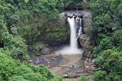 Private Full Day-Tour: Ubud Village, Waterfall and Kintamani Volc Private Full Day-Tour: Ubud Village, Waterfall and Kintamani Volc