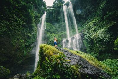 The Sekumpul Waterfall and Temple Private Tour The Sekumpul Waterfall and Temple Private Tour