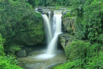 To Explore Ubud and Waterfall excluded Lunch - Halfday Private To