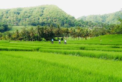 Nanggulan Fun Cycling | MOANA Sustainable Bicycle Tour Nanggulan Fun Cycling | MOANA Sustainable Bicycle Tour