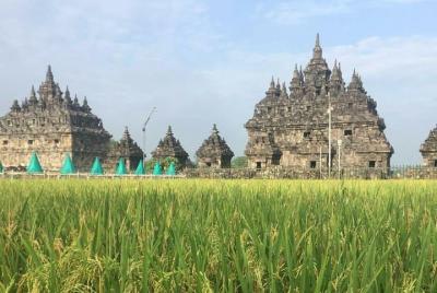 Sultan Palace and Great Temples Tour