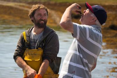 Oyster Farm Tour & Oyster Tasting. Letterfrack,Connemara.Guided.1 Oyster Farm Tour & Oyster Tasting. Letterfrack,Connemara.Guided.1