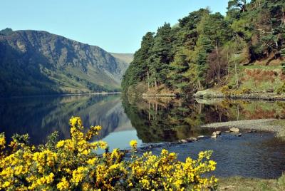 Wicklow, Powerscourt, and Glendalough Tour from Dublin