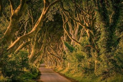 Game of Thrones Tour From Dublin