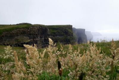 Scogliere di moher e Galway in italiano Scogliere di moher e Galway in italiano