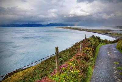 4-Day Ring of Kerry, Limerick, Cliffs of Moher, Galway and Connem