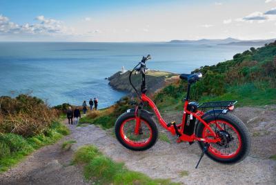 Small-Group E-Bike Tour in Howth