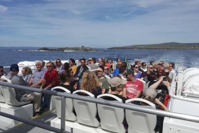 Round-trip boat transfer to Inis Oirr in the Aran Islands from Do
