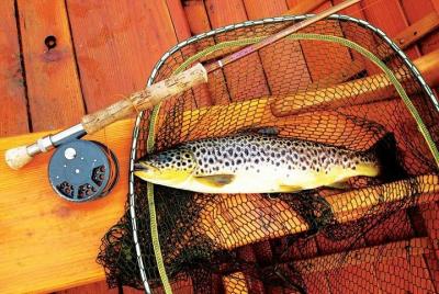 Brown trout fly fishing with fishing guide on Lough Corrib, Count
