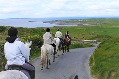 Horse riding - Dirt Trek Trail. Lisdoonvarna, Clare. Guided. 1 ho Horse riding - Dirt Trek Trail. Lisdoonvarna, Clare. Guided. 1 ho