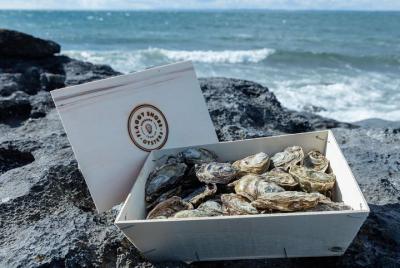 Private Oyster Tour and Tasting with Locals by Flaggy Shore