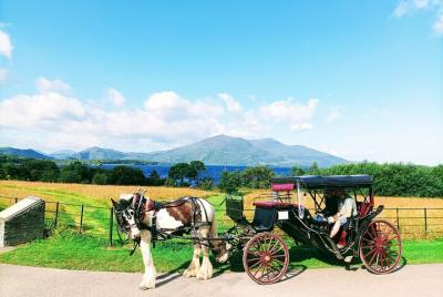 Muckross Park tour Muckross Park tour