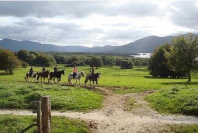 Killarney National Park Horseback Ride. Co Kerry. Guided. 1 hour. Killarney National Park Horseback Ride. Co Kerry. Guided. 1 hour.