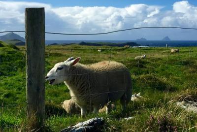 Ring of Kerry Hike - 5 Day Self-Guided Tour Ring of Kerry Hike - 5 Day Self-Guided Tour