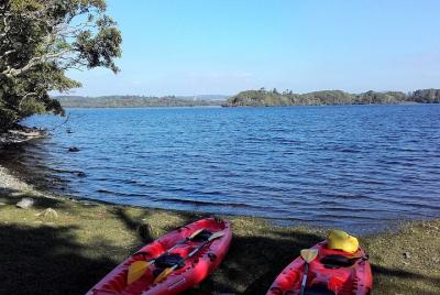 Kayak to Innisfallen island. Killarney. Guided. 2½ hours. Kayak to Innisfallen island. Killarney. Guided. 2½ hours.