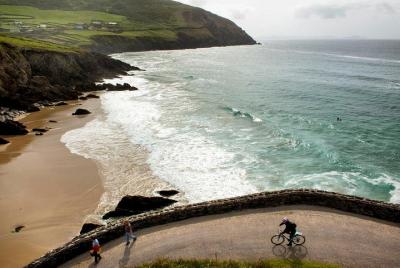 Dingle Peninsula Day Tour from Limerick: Including The Wild Altan Dingle Peninsula Day Tour from Limerick: Including The Wild Altan
