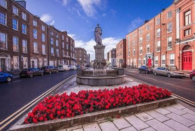 Limerick City Walking Tour