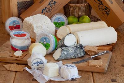 Enjoy an Award-Winning Goat Cheese Tasting and Goat Farm Tour in  Enjoy an Award-Winning Goat Cheese Tasting and Goat Farm Tour in