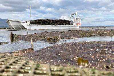 Private Oyster Tours in the Wild Atlantic Way Private Oyster Tours in the Wild Atlantic Way