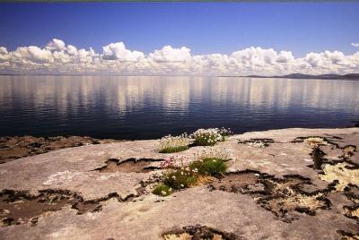 Stones & Stories Private Walk. Burren, Co Clare. Guided. 2 hours.