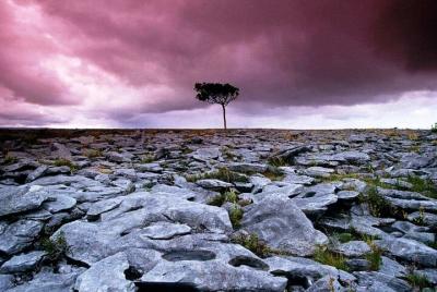 Walk Within - Private Spiritual Walk. Burren, Co Clare. Guided. 4