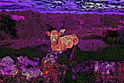 Get creative, a start with Art.