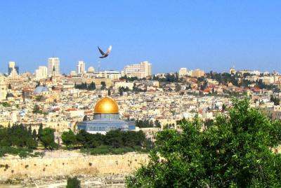 5 day Islamic tour to Palestine 5 day Islamic tour to Palestine