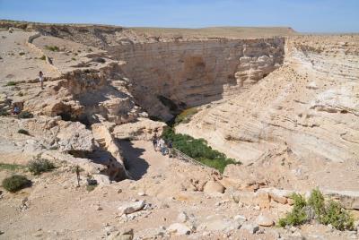 The Heart of the Negev One day tour The Heart of the Negev One day tour