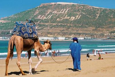 Agadir City Discovery in 3 Hours With Pick up and Drop off Agadir City Discovery in 3 Hours With Pick up and Drop off