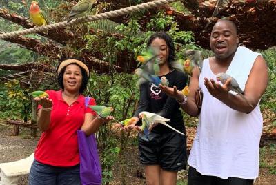 Private Konoko Falls and Blue Hole Combo Tour from Ocho Rios Private Konoko Falls and Blue Hole Combo Tour from Ocho Rios