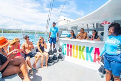Dunn Dunn's River Climb and Catamaran Cruise from Ocho Rios