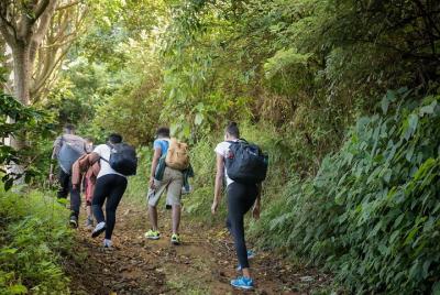 Blue Mountains, Port Royal and Kingston 2-Day Tour from Ocho Rios Blue Mountains, Port Royal and Kingston 2-Day Tour from Ocho Rios