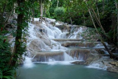Dunn's River Falls And Shopping Tour from Ocho Rios Hotels