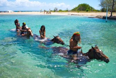 Jamaica Zipline and Horseback Ride n Swim Adventure Tour from Ocho Rios Jamaica Zipline and Horseback Ride n Swim Adventure Tour from Ocho Rios
