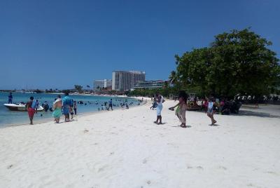 Ocho Rios Sightseeing, Shopping & Evita Ocho Rios Sightseeing, Shopping & Evita's Jam-Italian Lunch