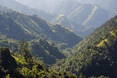 Jamaica Blue Mountain Guided Nature Tour Jamaica Blue Mountain Guided Nature Tour