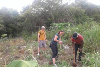 Tour a Jamaican Farm Tour a Jamaican Farm