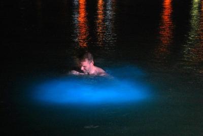 Mystic Luminous Lagoon from Montego Bay Mystic Luminous Lagoon from Montego Bay