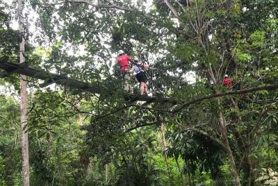 Dunns River Tour Dunns River Tour