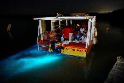 Private Tour of Luminous Lagoon from Montego Bay with Pick Up Private Tour of Luminous Lagoon from Montego Bay with Pick Up