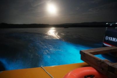 Luminous Lagoon (Glistening Waters) tour from Montego Bay Hotels Luminous Lagoon (Glistening Waters) tour from Montego Bay Hotels